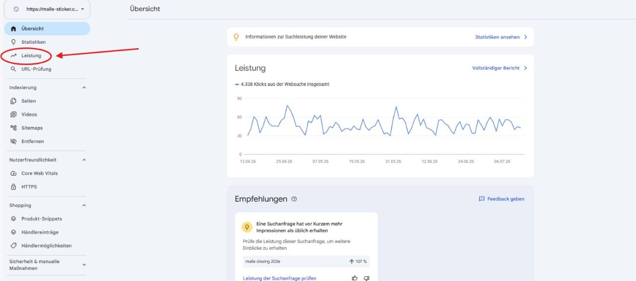 Google Search Console Übersicht mit markiertem Menüpunkt Leistung